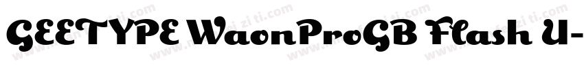 GEETYPE WaonProGB Flash U字体转换